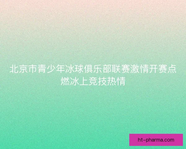 北京市青少年冰球俱乐部联赛激情开赛点燃冰上竞技热情