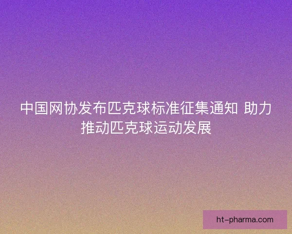 中国网协发布匹克球标准征集通知 助力推动匹克球运动发展